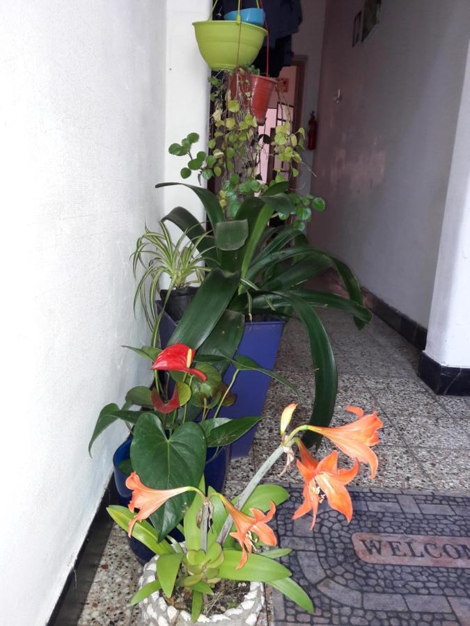 Appartamento Enmicasassj-Rosario Esterno foto